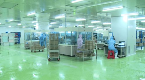 晶正科技 以技術(shù)為翼，沖刺虎年開(kāi)門(mén)紅