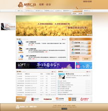 設(shè)計(jì)案例 沈陽(yáng)網(wǎng)站設(shè)計(jì),易勢(shì)為您量身打造