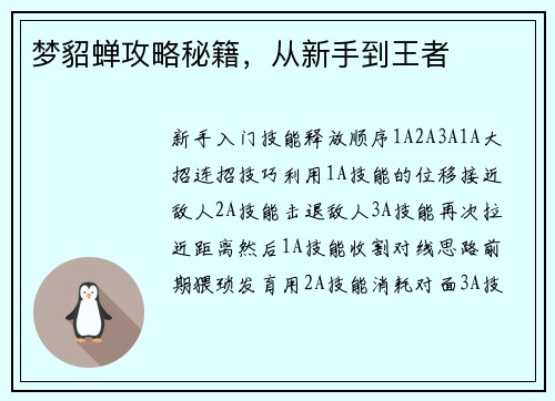 梦貂蝉攻略秘籍，从新手到王者