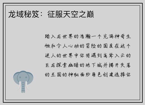 龙域秘笈：征服天空之巅